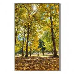 Ownanart Original 100% Hand-Painted Autumn Forest Oil Painting, Golden Sunlight Woodland Landscape Canvas Wall Art for Living Room & Bedroom Decor # OA  1387
